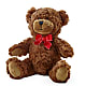 Adorable Plush Bear – Floreria Principe De Paz Llc, Somerset NJ