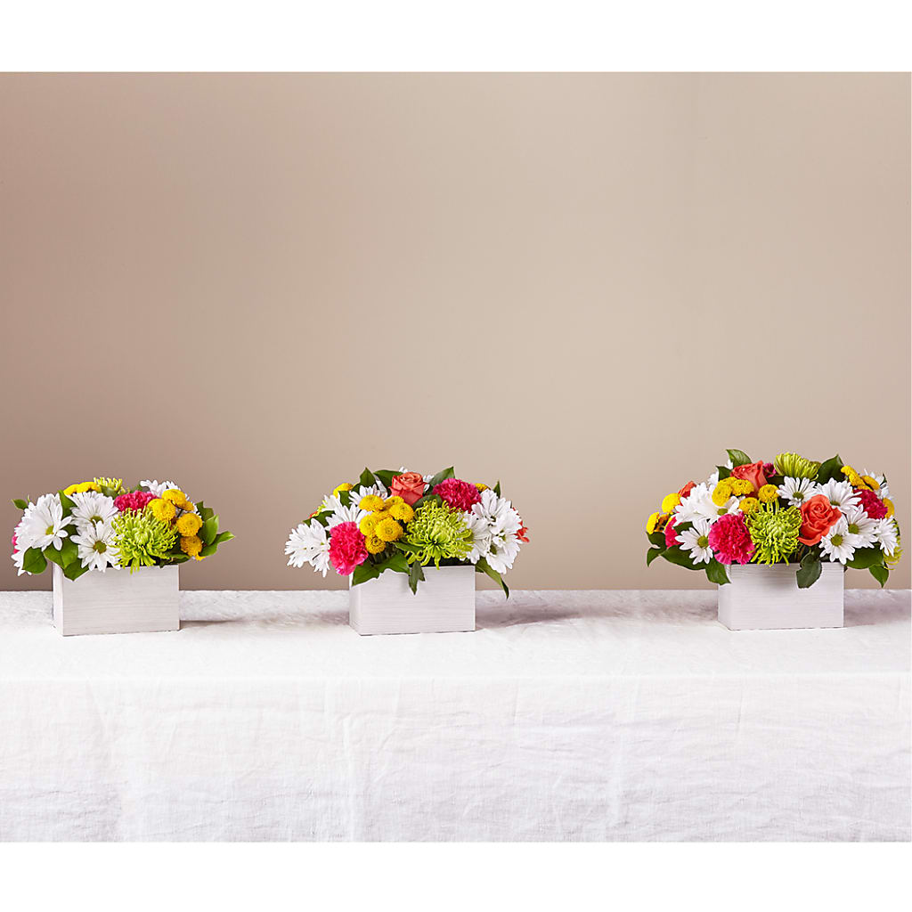 Sorbet Bouquet – Floreria Principe De Paz Llc, Somerset NJ