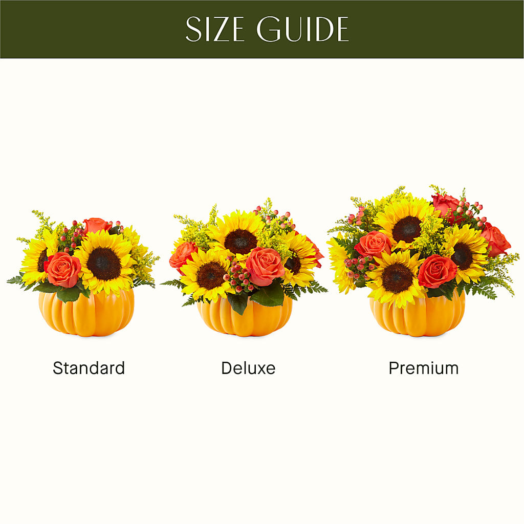 Pick of the Patch Pumpkin Bouquet – Floreria Principe De Paz Llc, Somerset NJ