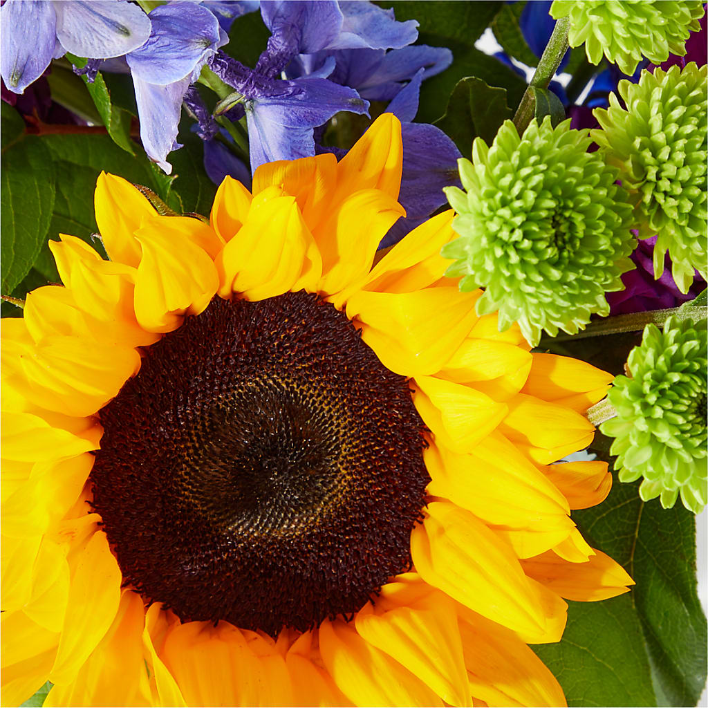 Catching Rays Bouquet – Floreria Principe De Paz Llc, Somerset NJ