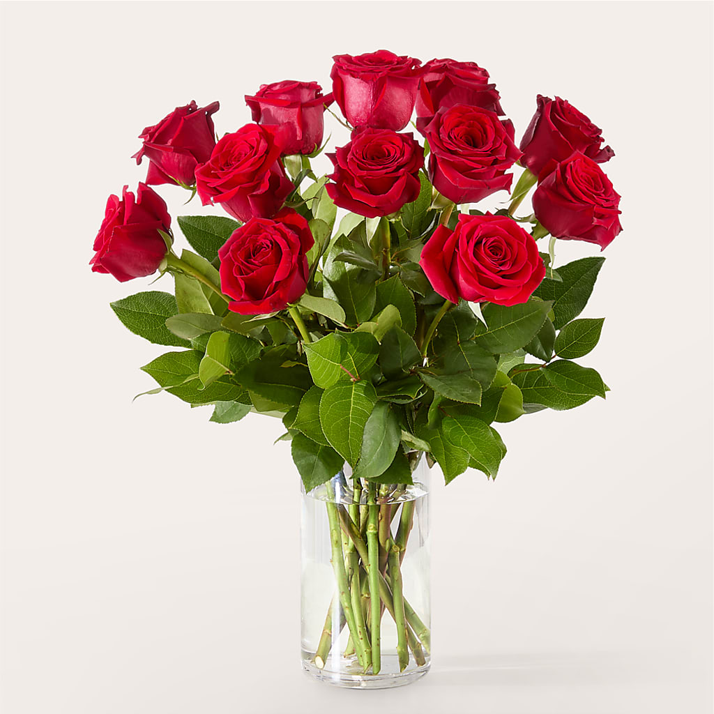The One Red Rose Bouquet – Floreria Principe De Paz Llc, Somerset NJ