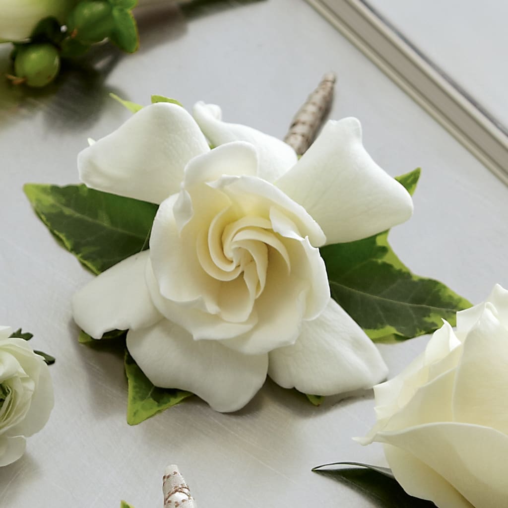 Gardenia Boutonniere – Floreria Principe De Paz Llc, Somerset NJ