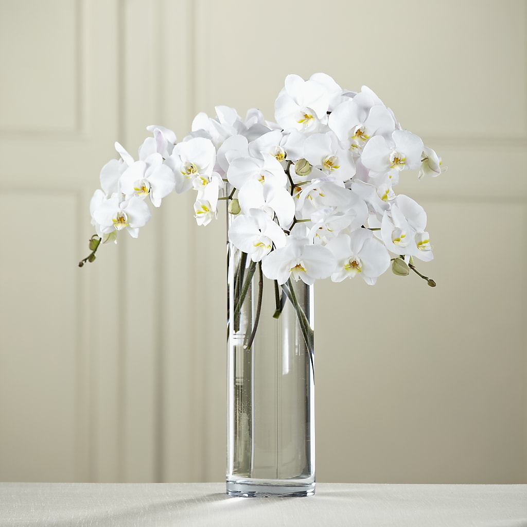 White Phalaenopsis Bouquet – Floreria Principe De Paz Llc, Somerset NJ