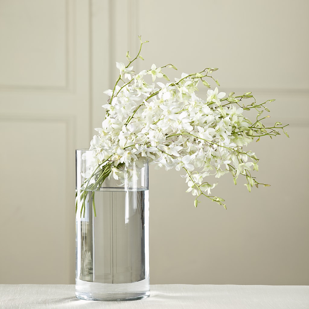 White Dendrobium Bouquet – Floreria Principe De Paz Llc, Somerset NJ