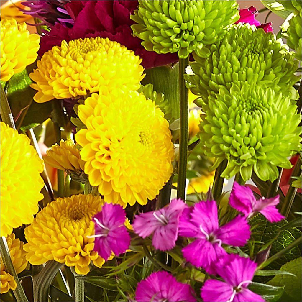 Bold & Bright – A Florist Original –  Floreria Principe De Paz Llc, Somerset NJ