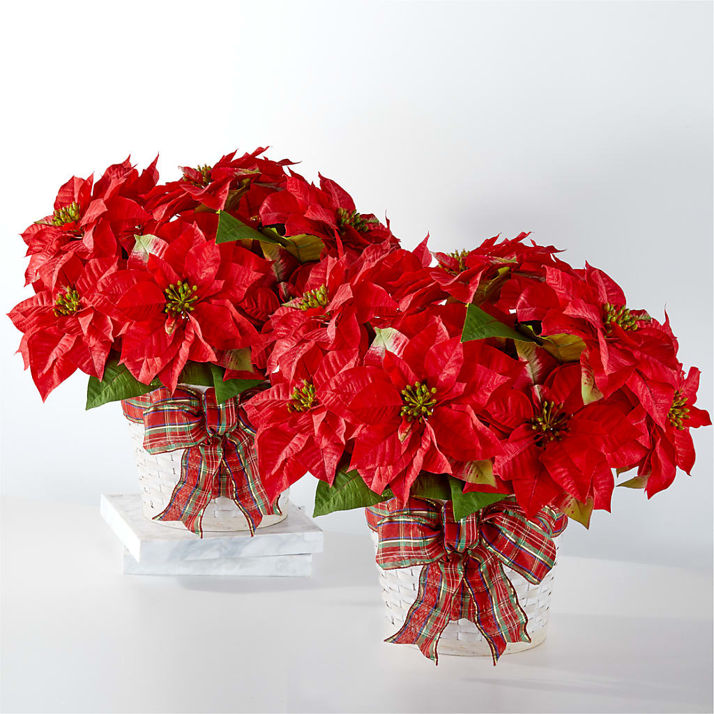 Happiest Holidays Poinsettia Bundle –  Floreria Principe De Paz Llc, Somerset NJ
