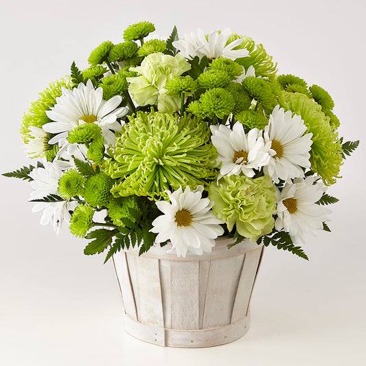 Lucky Charm Basket (Standard) –  Floreria Principe De Paz Llc, Somerset NJ