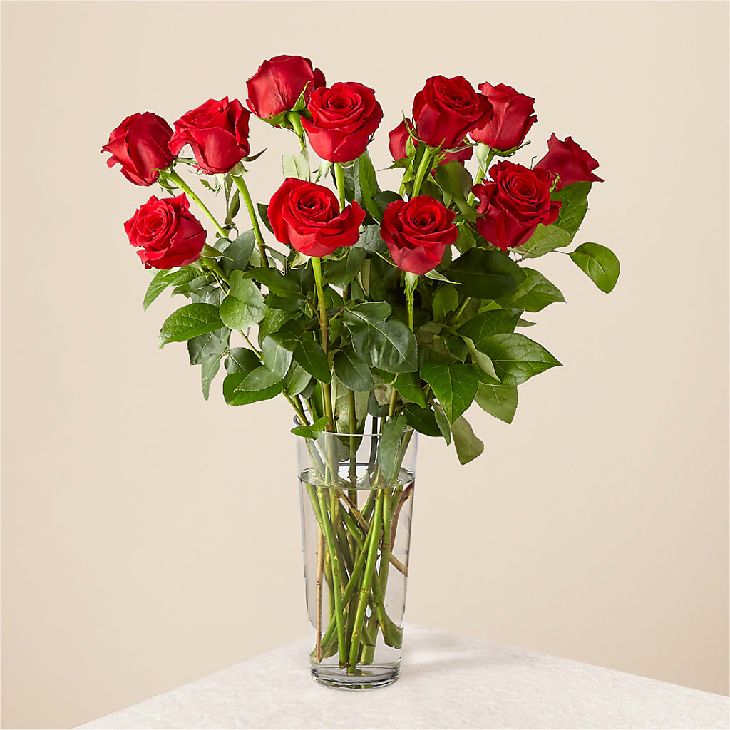 Long Stem Red Rose Bouquet –  Floreria Principe De Paz Llc, Somerset NJ