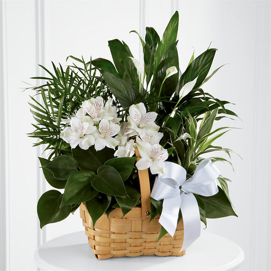 Peace & Serenity Dishgarden –  Floreria Principe De Paz Llc, Somerset NJ