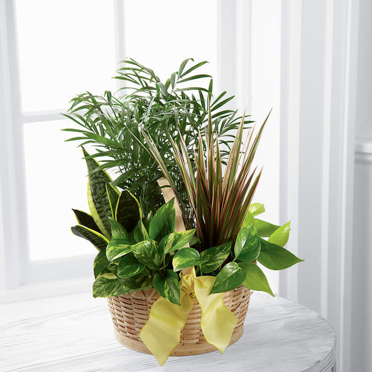 French Garden –  Floreria Principe De Paz Llc, Somerset NJ