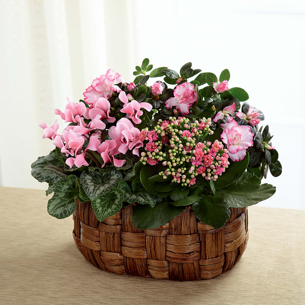 Pink Assortment –  Floreria Principe De Paz Llc, Somerset NJ