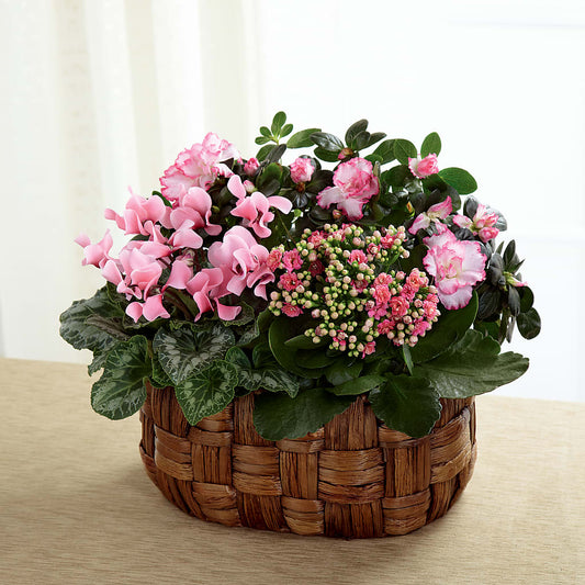 Pink Assortment –  Floreria Principe De Paz Llc, Somerset NJ