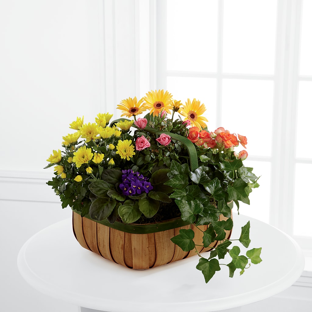 Gentle Blossoms Basket –  Floreria Principe De Paz Llc, Somerset NJ