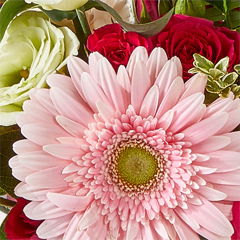 Too Cute Bouquet –  Floreria Principe De Paz Llc, Somerset NJ