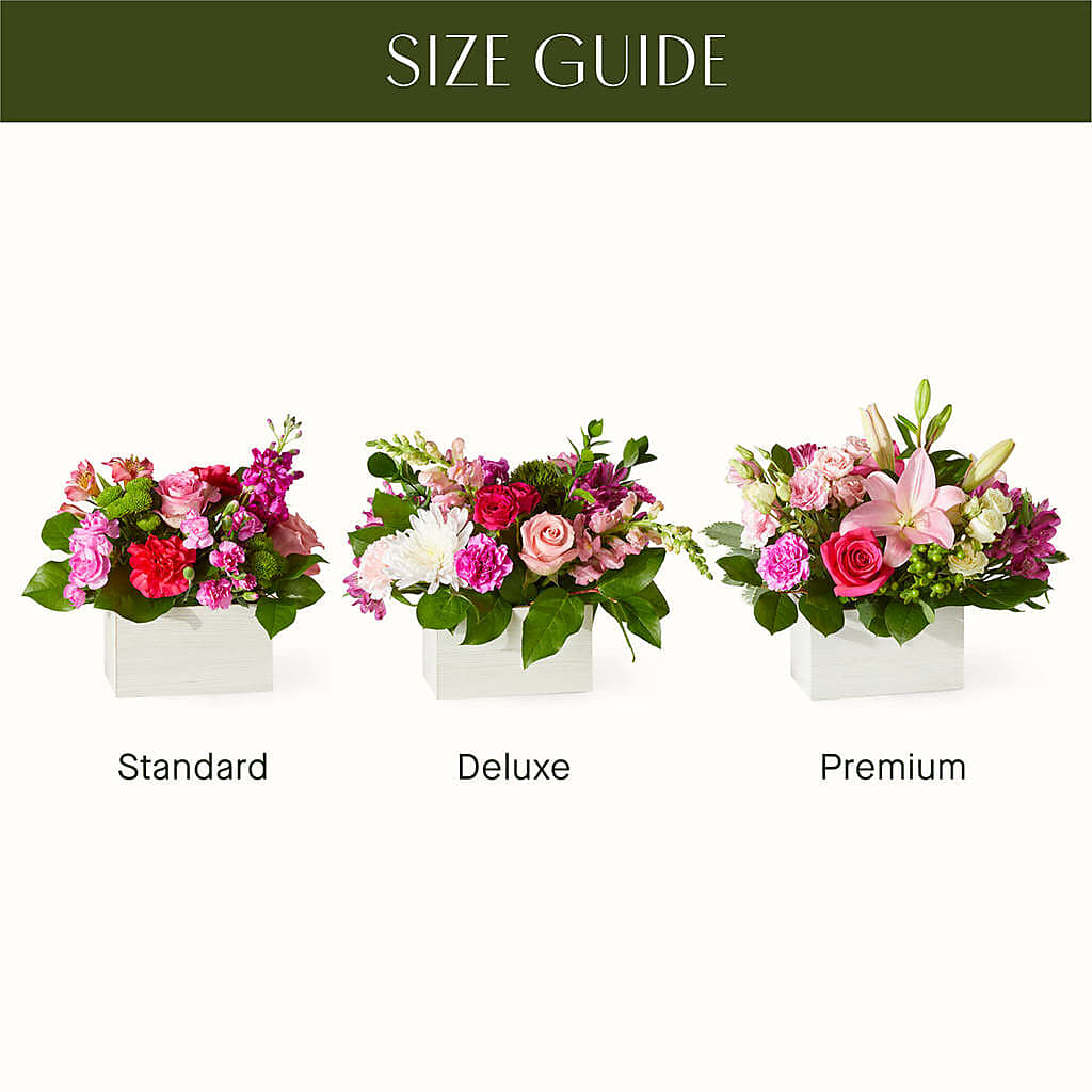 Sweetberry Box – A Florist Original –  Floreria Principe De Paz Llc, Somerset NJ