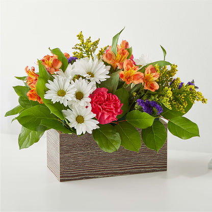 Oopsie Daisy Box Bouquet –  Floreria Principe De Paz Llc, Somerset NJ