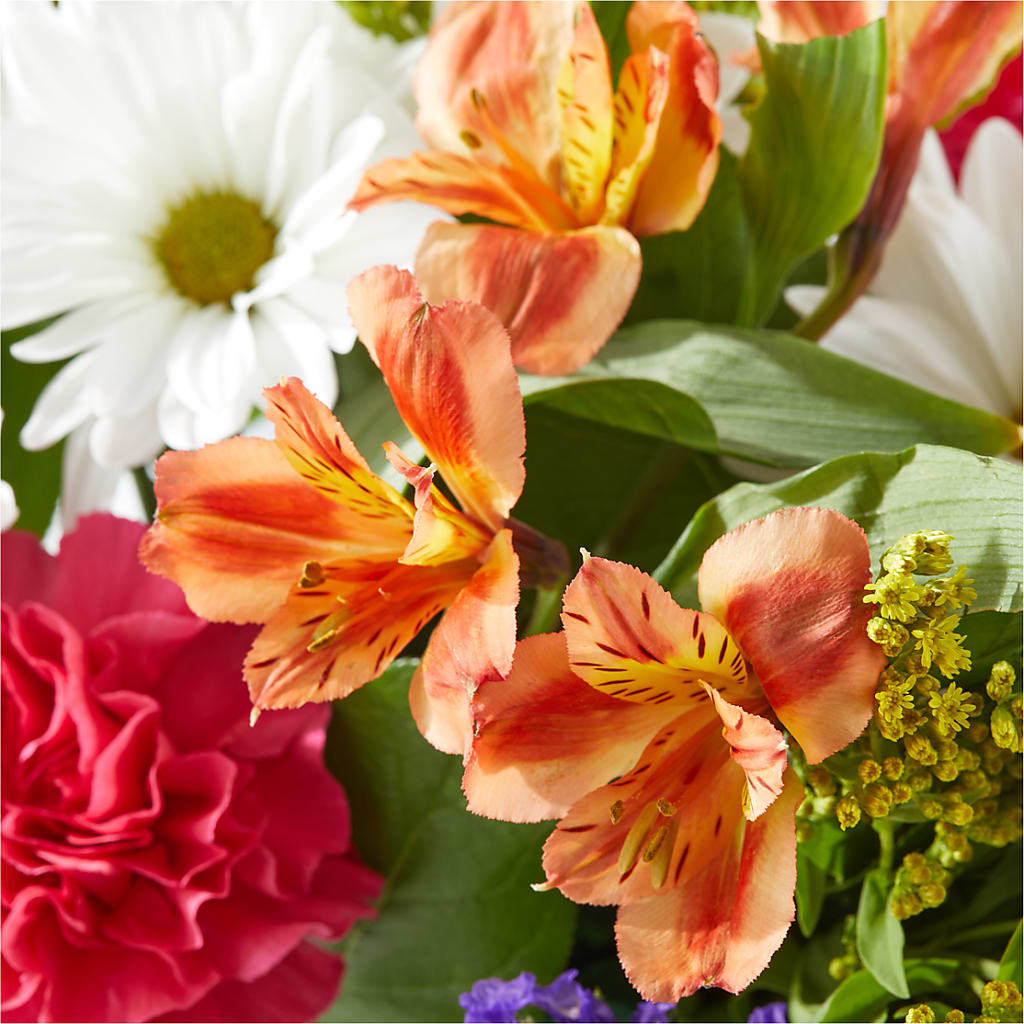 Oopsie Daisy Box Bouquet –  Floreria Principe De Paz Llc, Somerset NJ