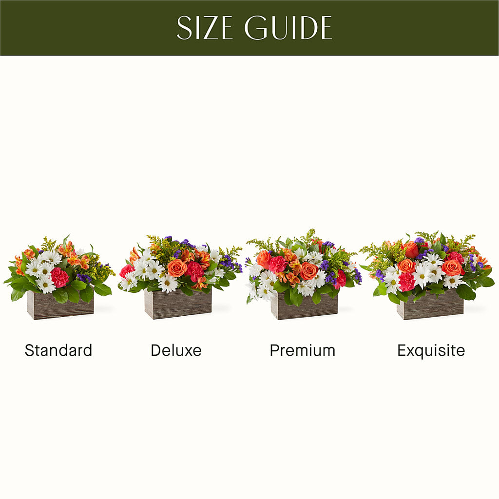 Oopsie Daisy Box Bouquet –  Floreria Principe De Paz Llc, Somerset NJ