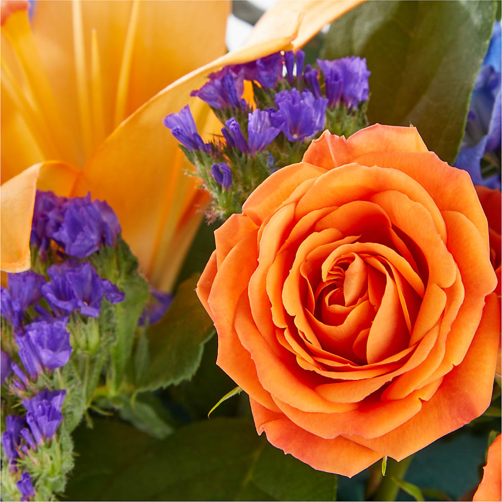 Radiant Citrus Box Bouquet –  Floreria Principe De Paz Llc, Somerset NJ