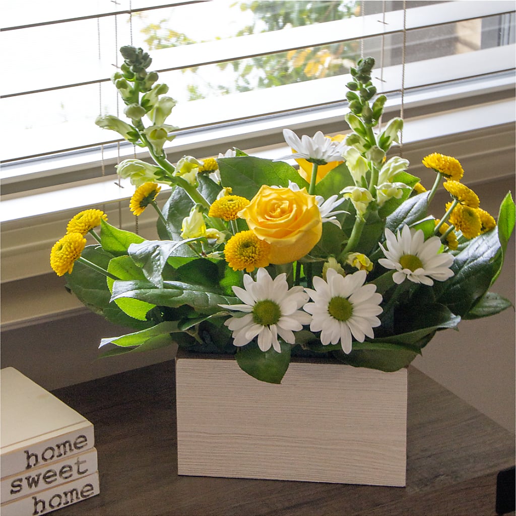 Sun Salutation Box Bouquet –  Floreria Principe De Paz Llc, Somerset NJ