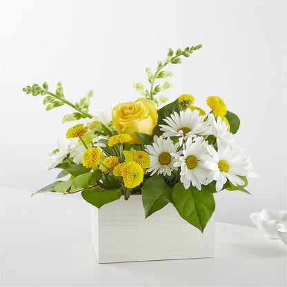 Sun Salutation Box Bouquet –  Floreria Principe De Paz Llc, Somerset NJ
