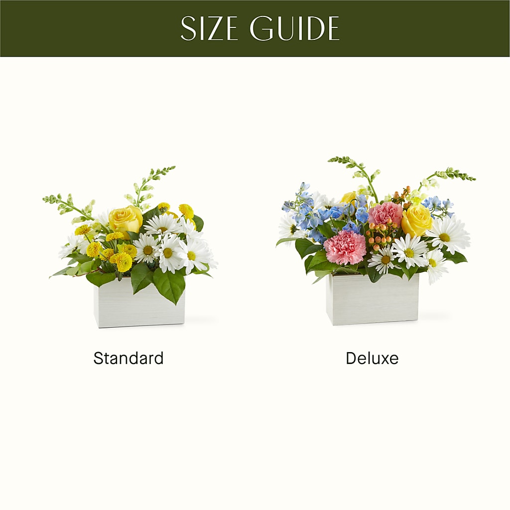Sun Salutation Box Bouquet –  Floreria Principe De Paz Llc, Somerset NJ