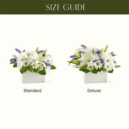 Beyond Blue Box Bouquet –  Floreria Principe De Paz Llc, Somerset NJ