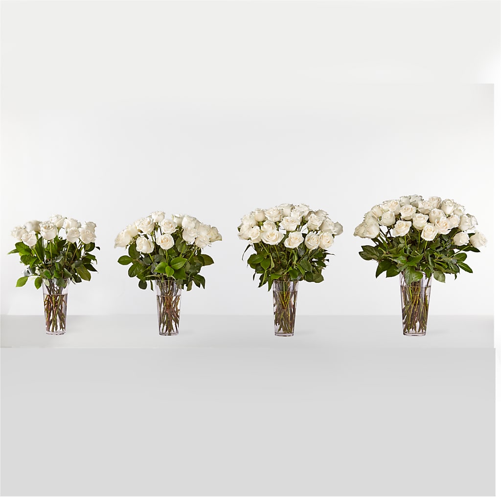 Long Stem White Rose Bouquet –  Floreria Principe De Paz Llc, Somerset NJ