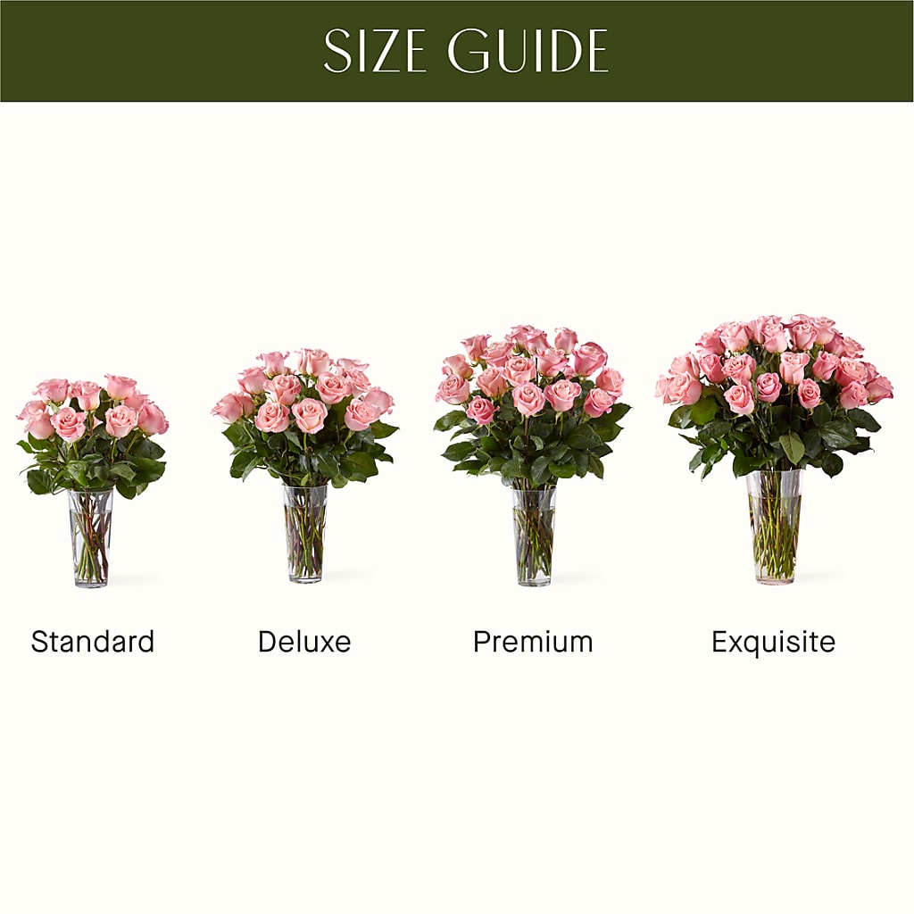 Long Stem Pink Rose Bouquet –  Floreria Principe De Paz Llc, Somerset NJ