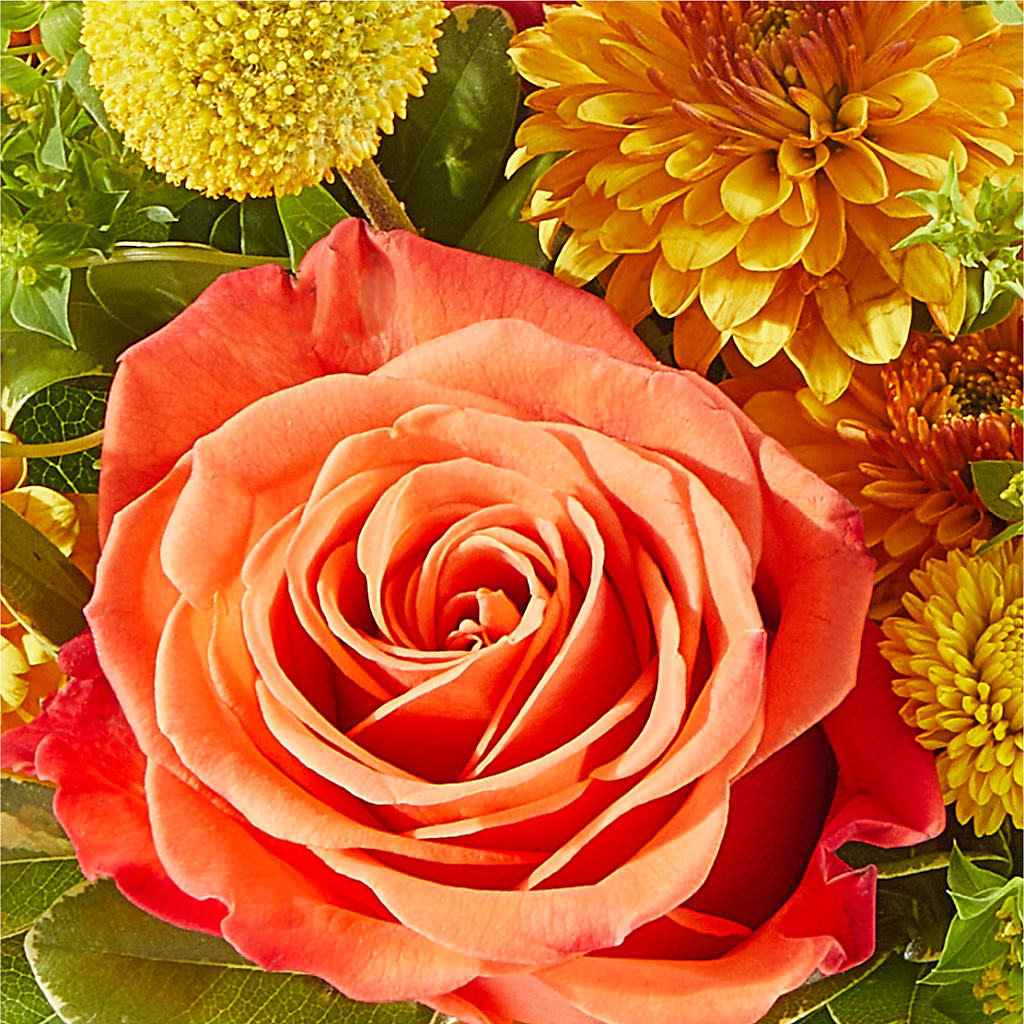 Gourdgeous Pumpkin –  Floreria Principe De Paz Llc, Somerset NJ