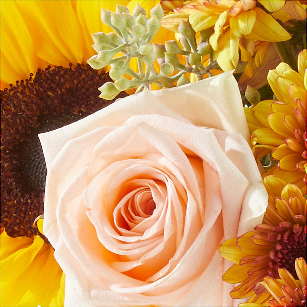 Pumpkin to Talk About Bouquet –  Floreria Principe De Paz Llc, Somerset NJ