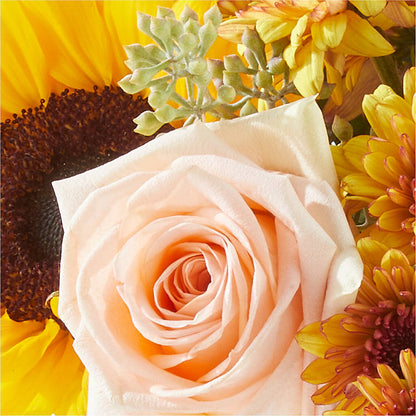 Pumpkin to Talk About Bouquet –  Floreria Principe De Paz Llc, Somerset NJ
