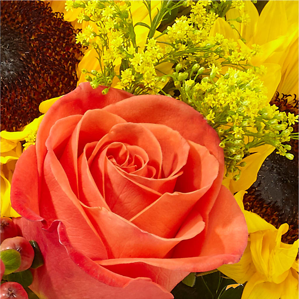 Pick of the Patch Pumpkin Bouquet –  Floreria Principe De Paz Llc, Somerset NJ