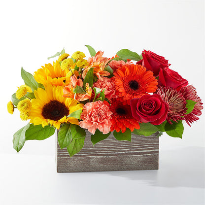 Autumn Orchard Bouquet –  Floreria Principe De Paz Llc, Somerset NJ