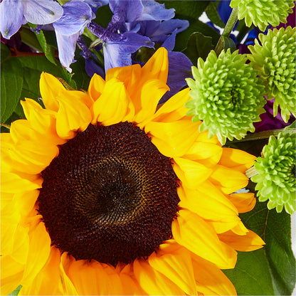 Catching Rays Bouquet –  Floreria Principe De Paz Llc, Somerset NJ