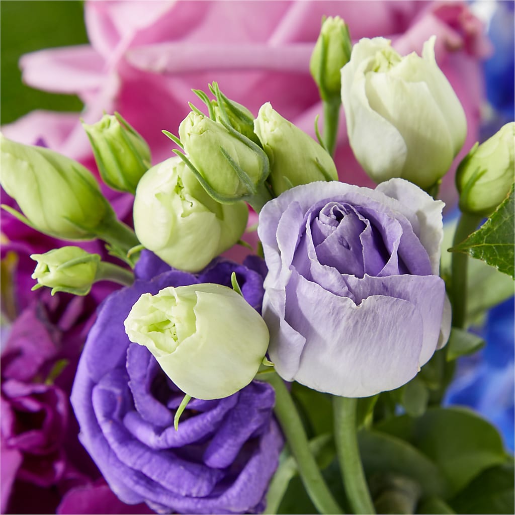 Twilight Glow Bouquet –  Floreria Principe De Paz Llc, Somerset NJ