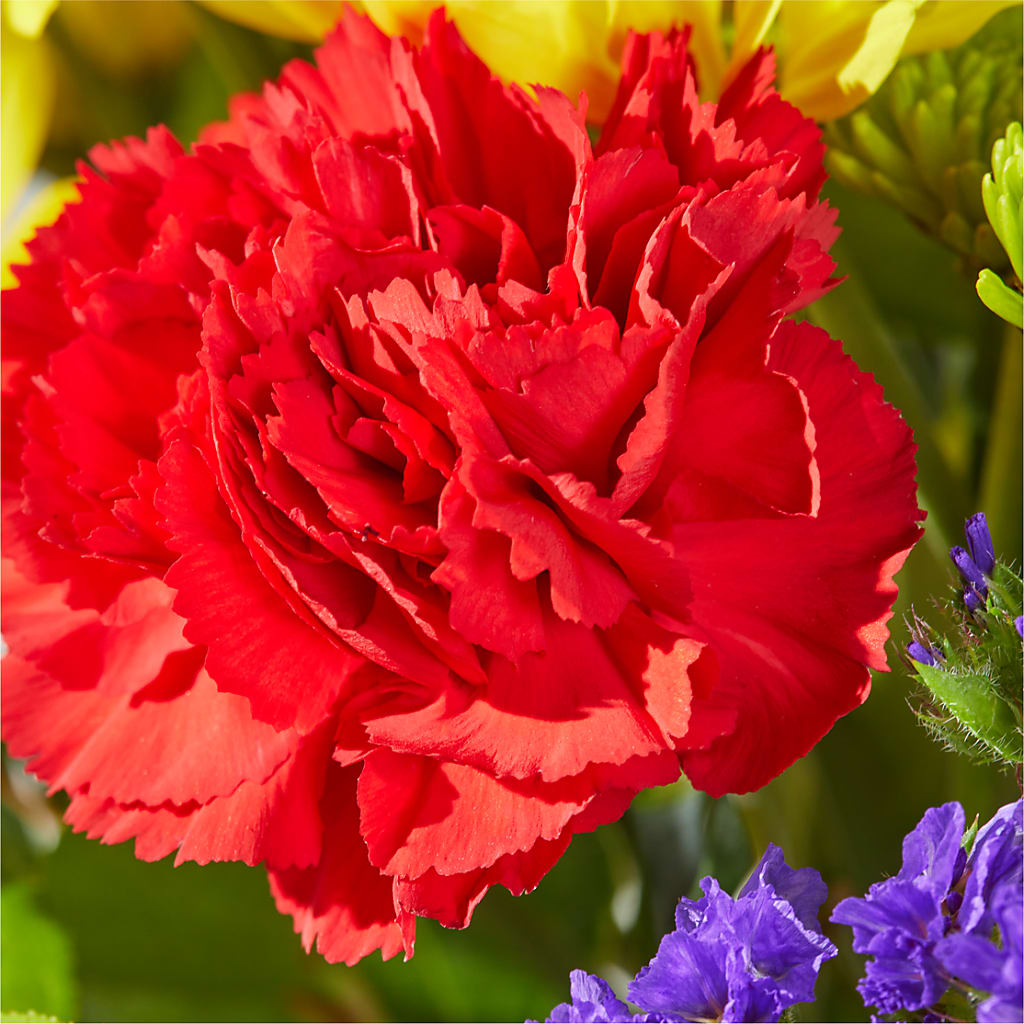Brighter Days Bouquet –  Floreria Principe De Paz Llc, Somerset NJ