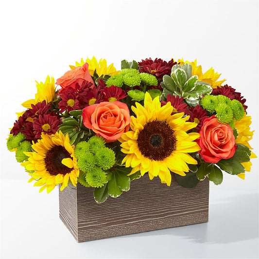 Happy Harvest Garden –  Floreria Principe De Paz Llc, Somerset NJ