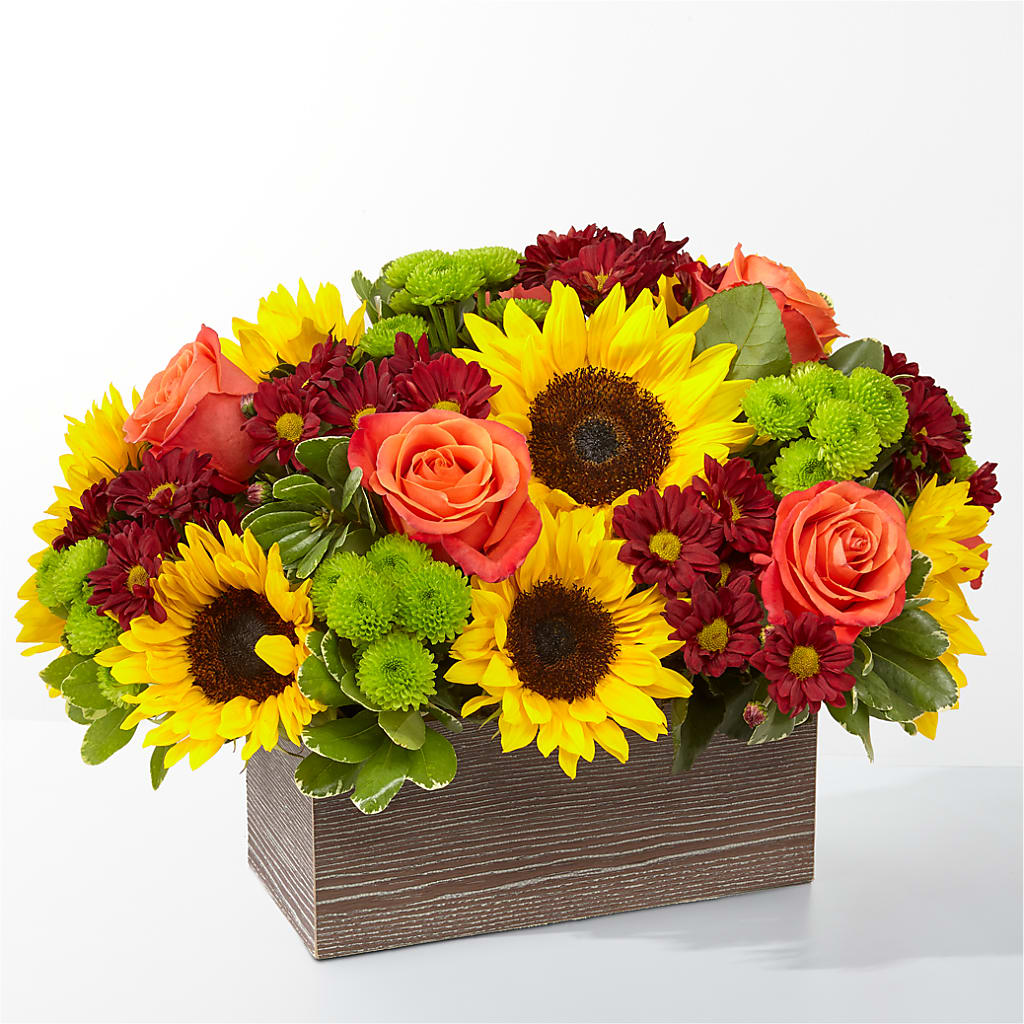 Happy Harvest Garden –  Floreria Principe De Paz Llc, Somerset NJ