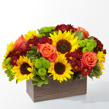 Happy Harvest Garden –  Floreria Principe De Paz Llc, Somerset NJ