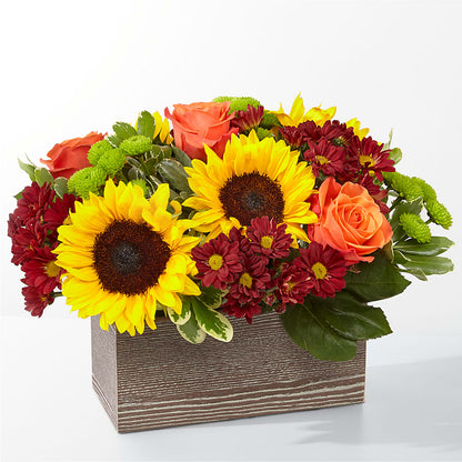 Happy Harvest Garden –  Floreria Principe De Paz Llc, Somerset NJ