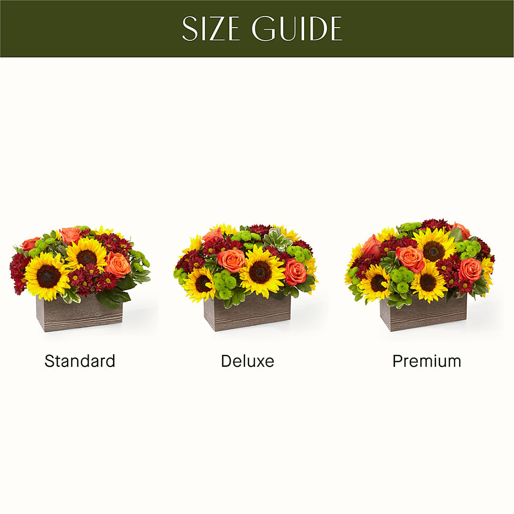 Happy Harvest Garden –  Floreria Principe De Paz Llc, Somerset NJ