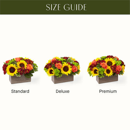 Happy Harvest Garden –  Floreria Principe De Paz Llc, Somerset NJ