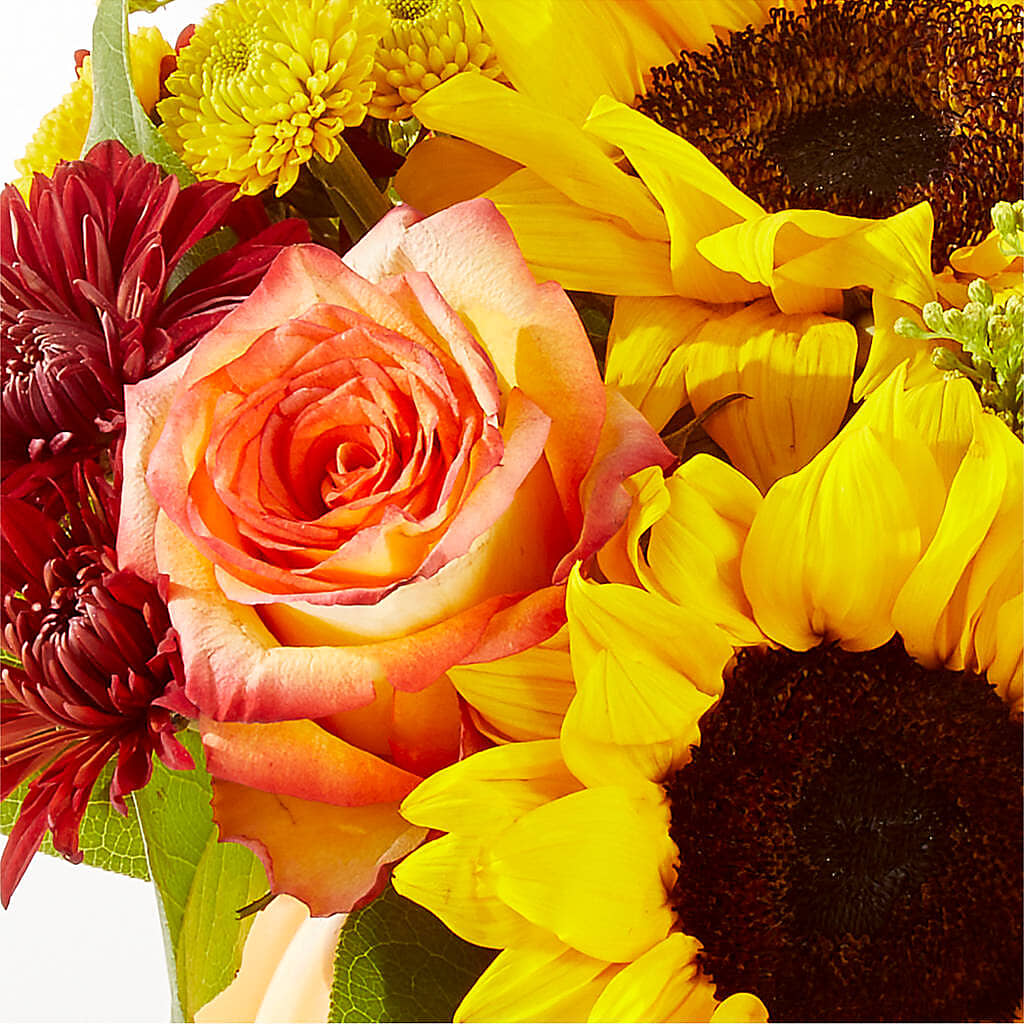 Golden Gourd Pumpkin Bouquet –  Floreria Principe De Paz Llc, Somerset NJ