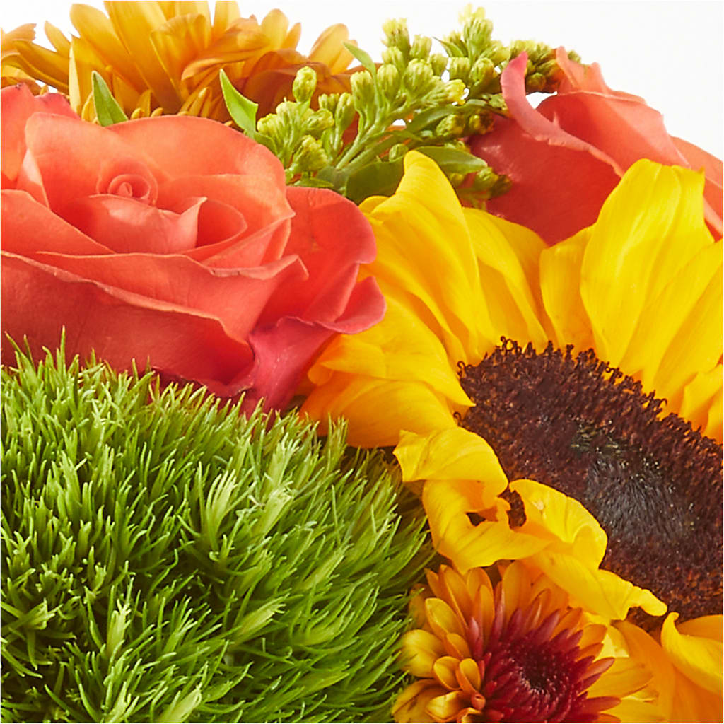 Farmer’s Market Stroll Bouquet –  Floreria Principe De Paz Llc, Somerset NJ
