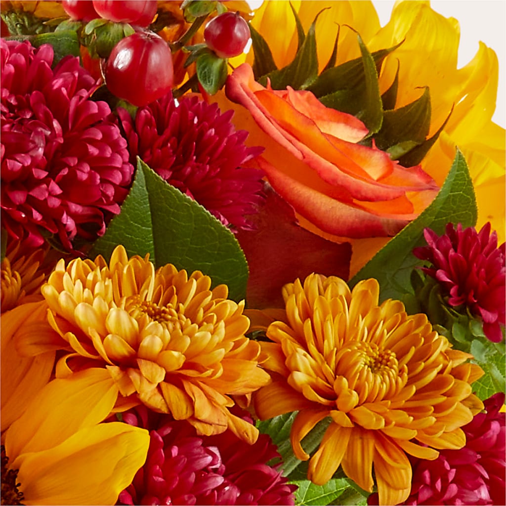 Sweater Season - A Florist Original –  Floreria Principe De Paz Llc, Somerset NJ
