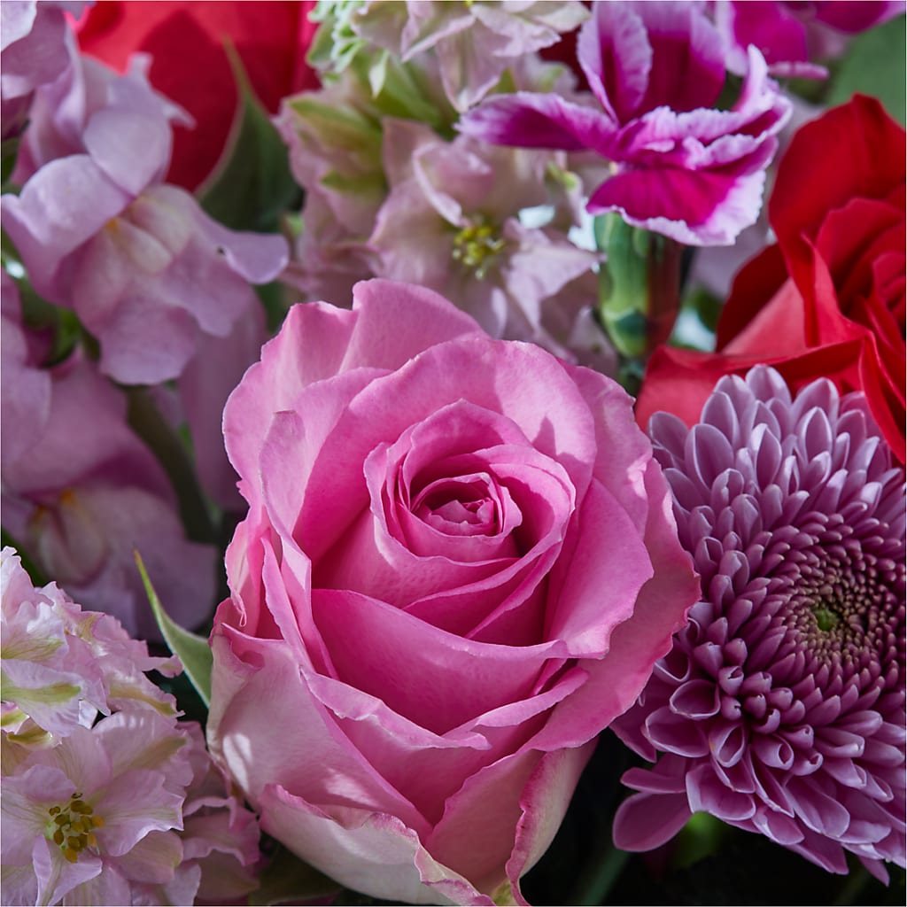 Better Together - A Luxury Florist Original –  Floreria Principe De Paz Llc, Somerset NJ