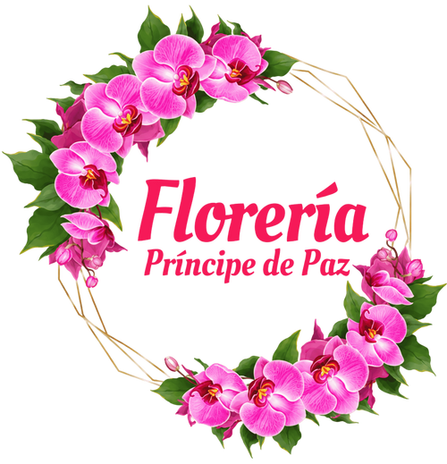 Floreria Principe De Paz LLC