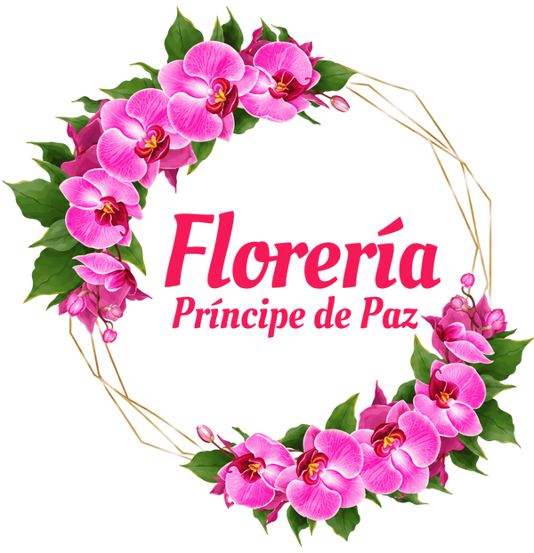 Floreria Principe De Paz LLC
