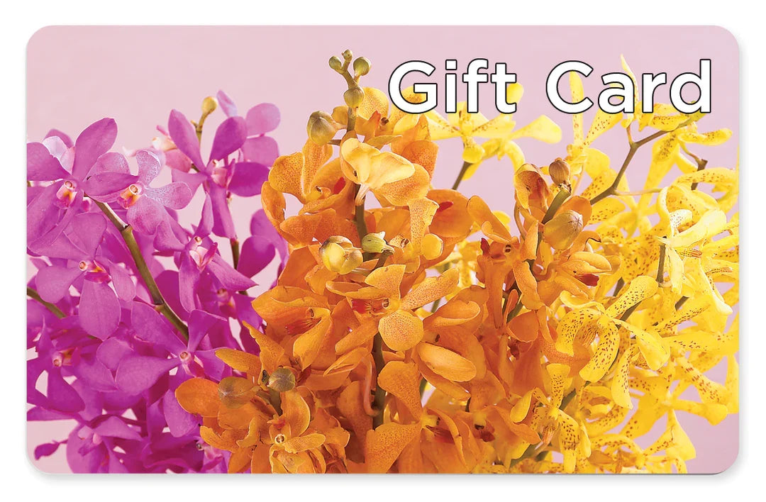 Gift Card –  Floreria Principe De Paz Llc, Somerset NJ